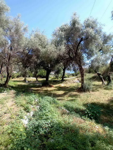 Slika nekretnine