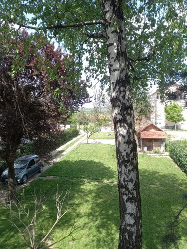 Slika nekretnine