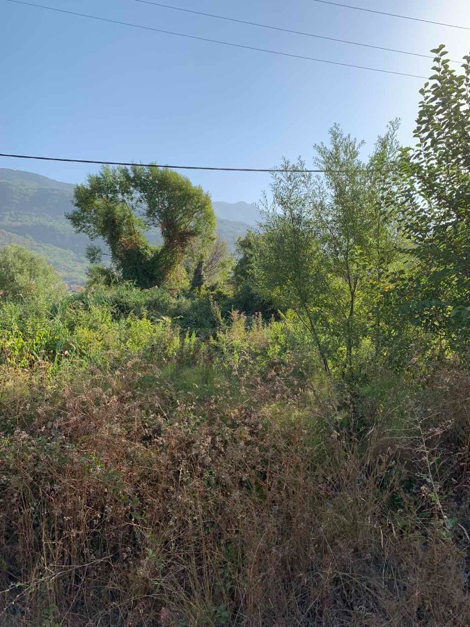 Slika nekretnine